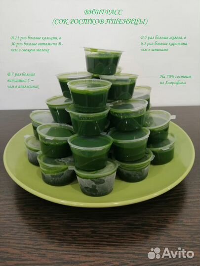 Витграсс и Микрозелень