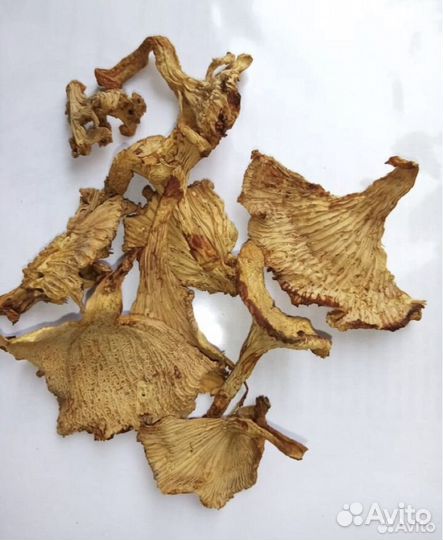 Грибы лисичка сушеная