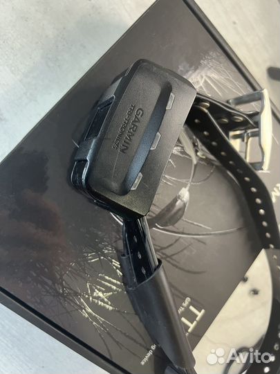 Ошейник Garmin