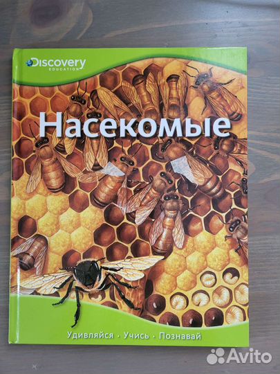 Энциклопедия