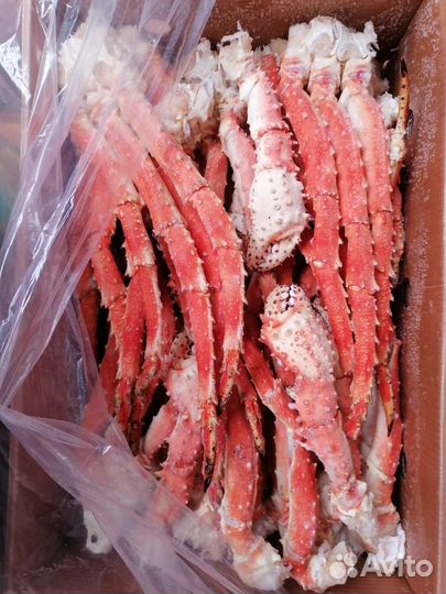 Краб камчатский