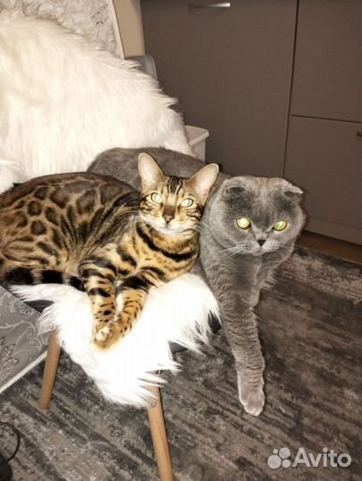 Тюменская слобода.Няня день/ночь