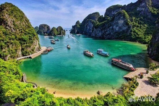 Свой человек во Вьетнаме - решение любых вопросов