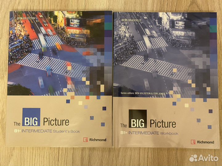 The big picture b1+ intermediate sb+wb