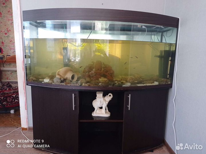 Продам аквариум