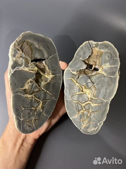 Полированная септария