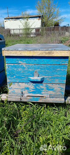 Улей для пчел бу