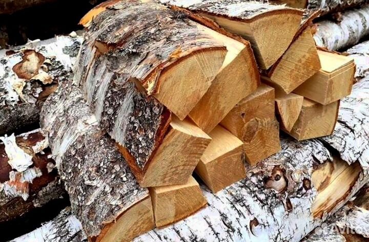 Дрова без жучков