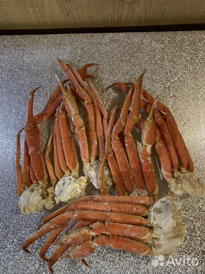 Краб камчатский, 2L