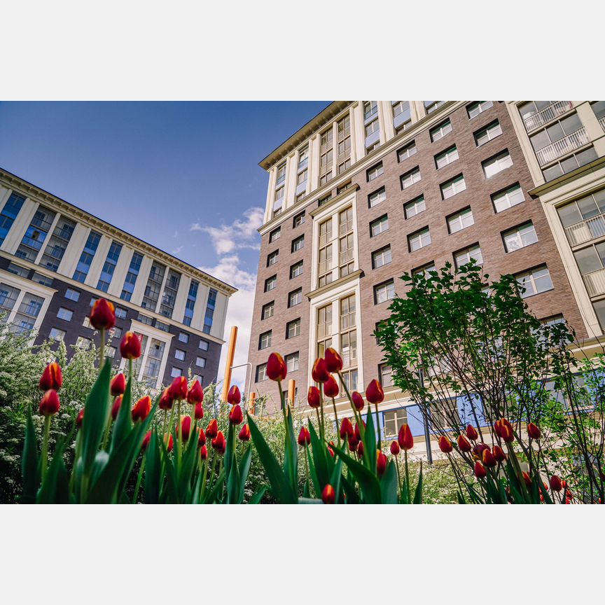 2-к. квартира, 66,8 м², 6/12 эт.