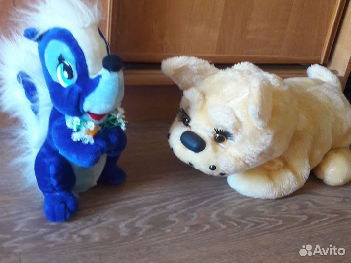 Собака и белка говорящая самолет кошка