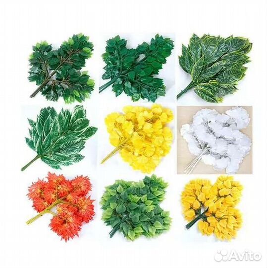 Фикус листья цена (за 12штук)