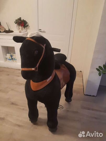 Поницикл лошадь