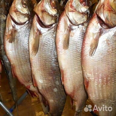 Вяленый малосольный язь и плотва