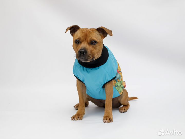 Жилетка для собак