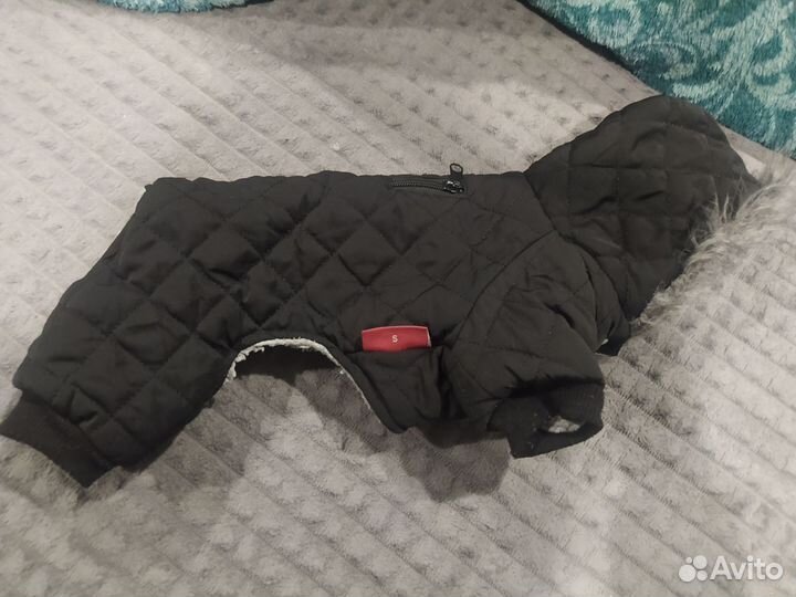 Одежда для собак