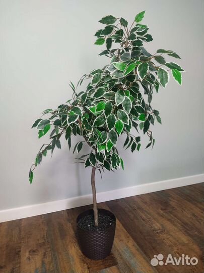 Фикус бенджамина искусственный