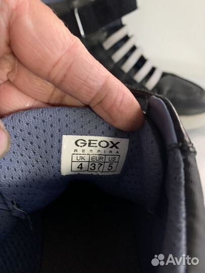 Кроссовки, кеды, ботинки geox для мальчика