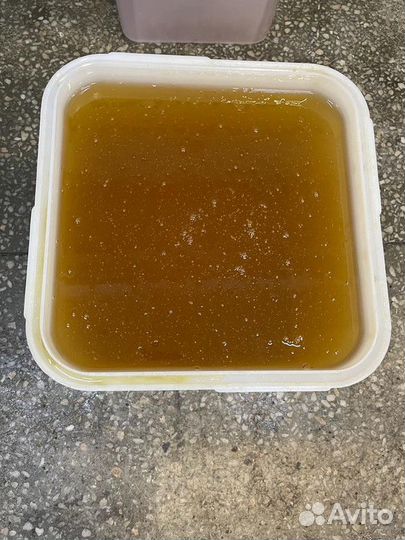 Мёд оптом майский