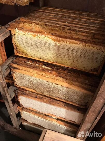 Мед в сотах (рамках)