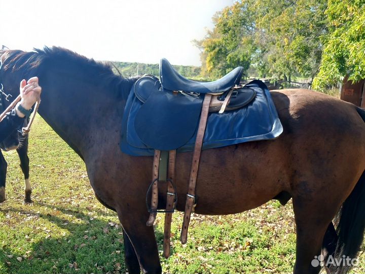 Кавалерийское седло