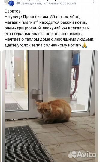 Солнышко на улице