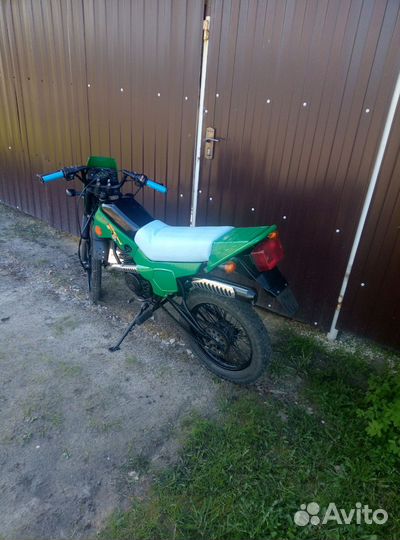 Зид пилот 50