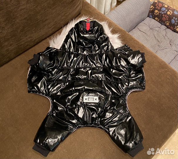 Одежда для собак мелких пород