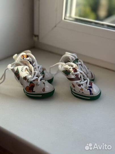 Обувь для собак мелких пород