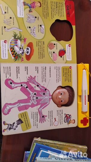 Развивающие книги, магнитные конструктор и азбука