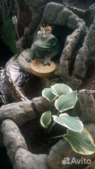 Садовые фигуры