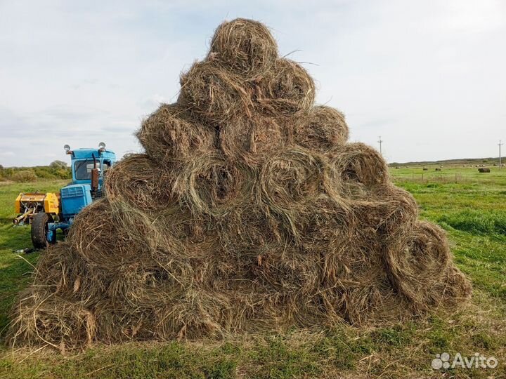 Сено в мини рулонах