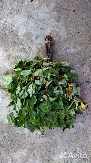 Веники для бани