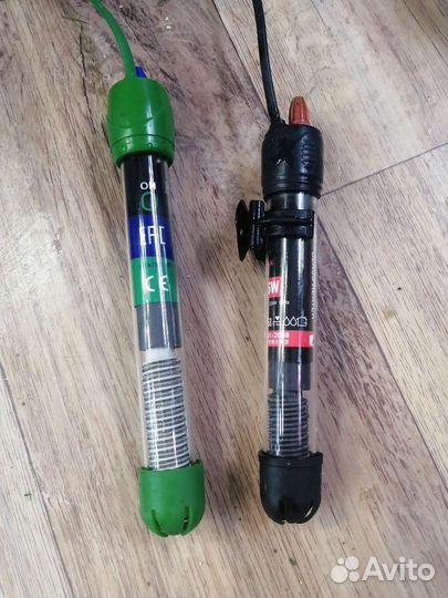 Живые корма и аквариумная живность