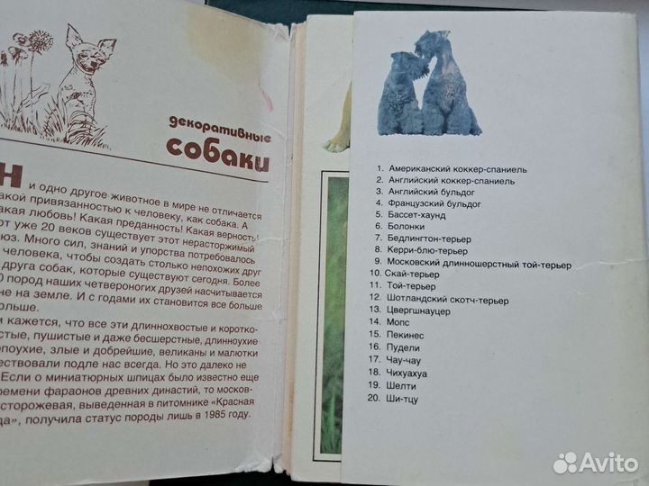 Открытки СССР