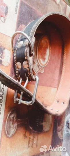 Ошейник для собак