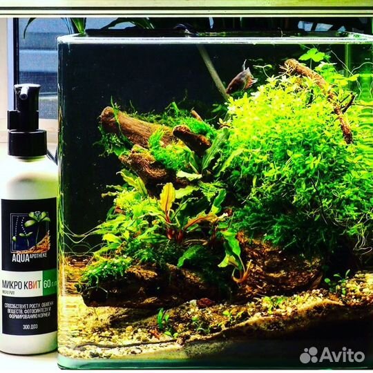 Оформление и обслуживание аквариумов