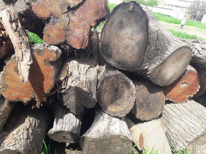 Маклюра на слэб