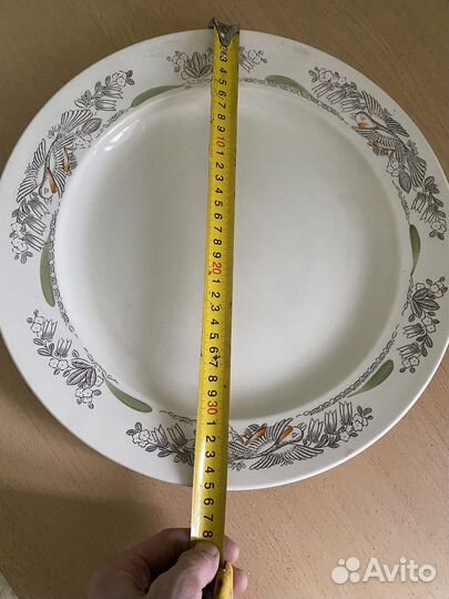 Тарелка зик