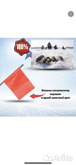 Жерлица зимняя, 