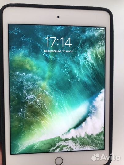 iPad mini 4 16gb