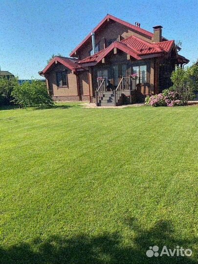 Укладка и продажа газона стандарт