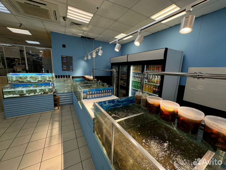 Готовый бизнес разливное пиво