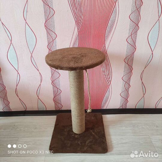 Когтеточка