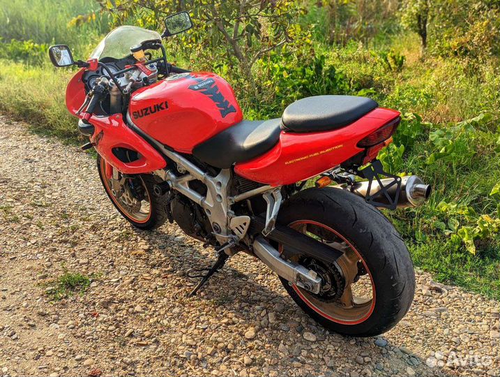 Suzuki TL1000S