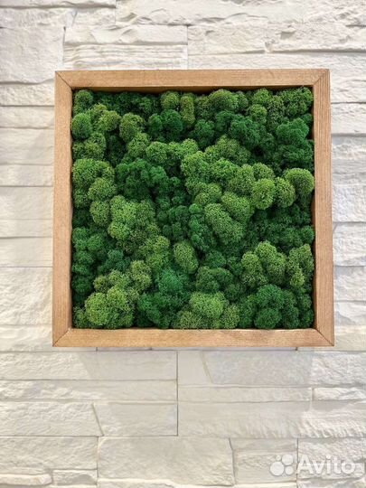 Панно со стабилизированным мхом 30 на 30 см