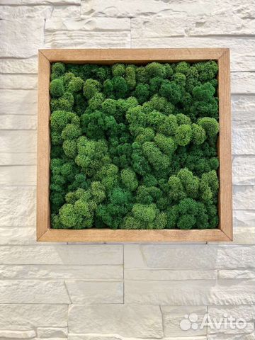 Панно со стабилизированным мхом 30 на 30 см