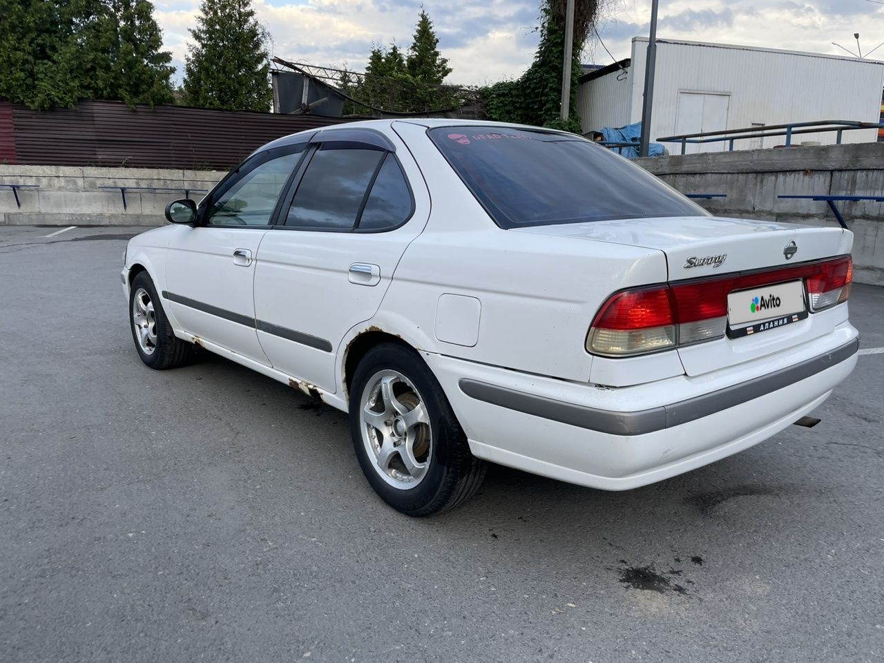 Nissan Sunny: фото владельца