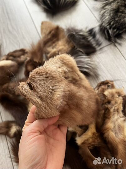 Мех Обрезки соболя и песца и норка