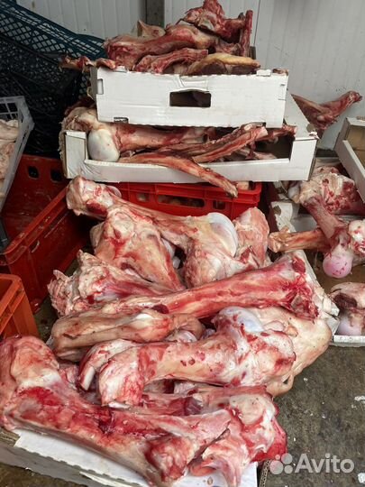 Мясо и кости для собак